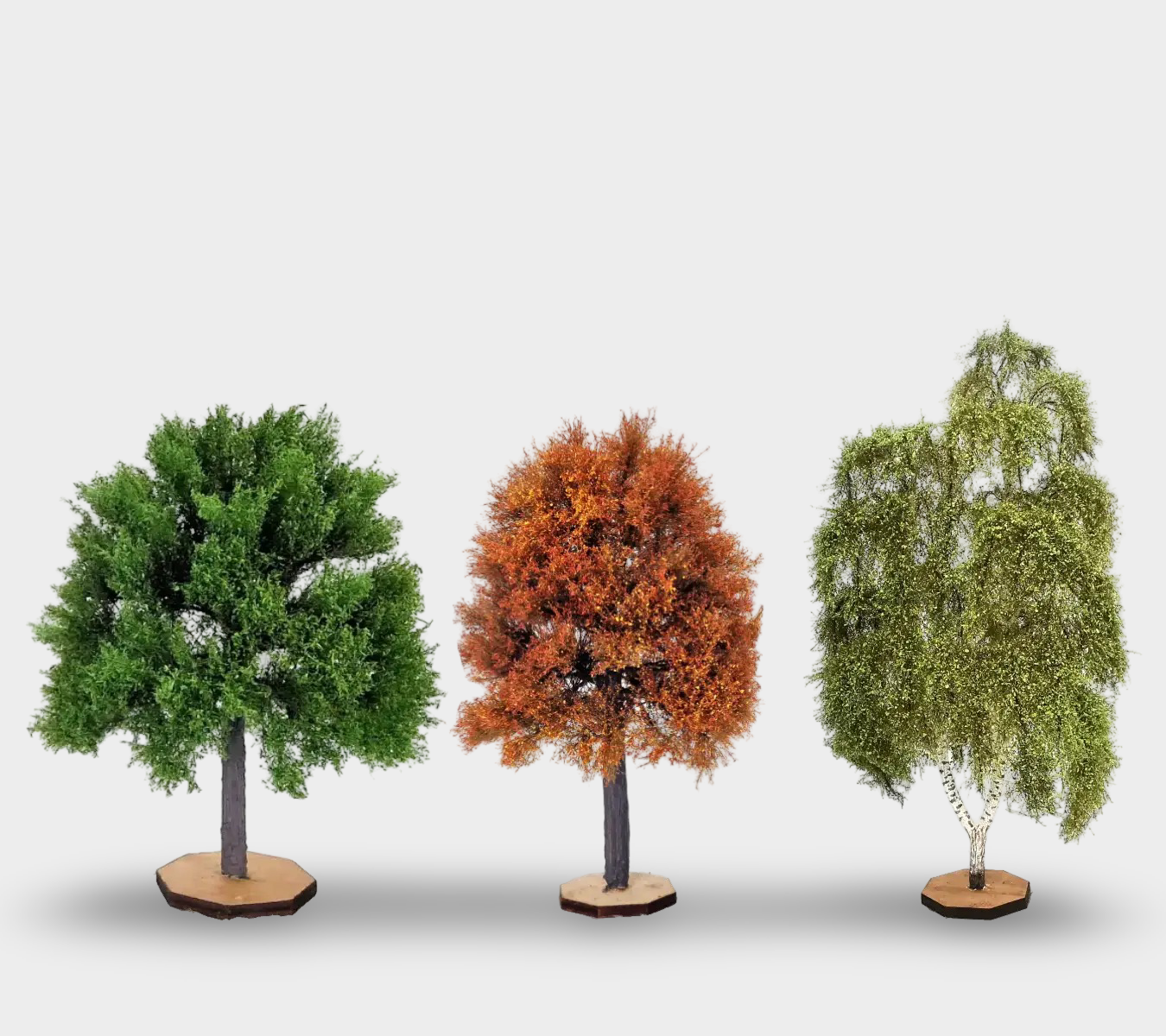 Deciduous Autumn