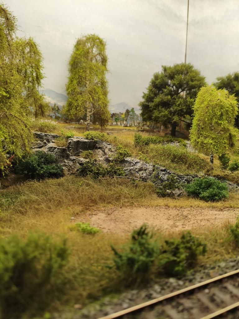 Deciduous Spring